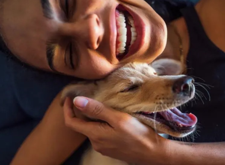 Zašto volimo pse? Nauka ima odgovor