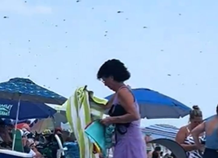 Jeziv snimak: Zastrašujući prizor na poznatoj plaži