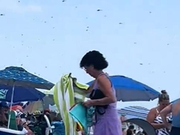 Jeziv snimak: Zastrašujući prizor na poznatoj plaži