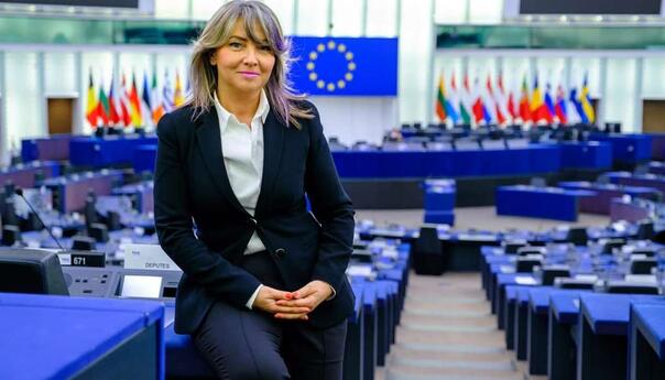 Zastupnici pozivaju EU da ubrza proces pristupanja BiH