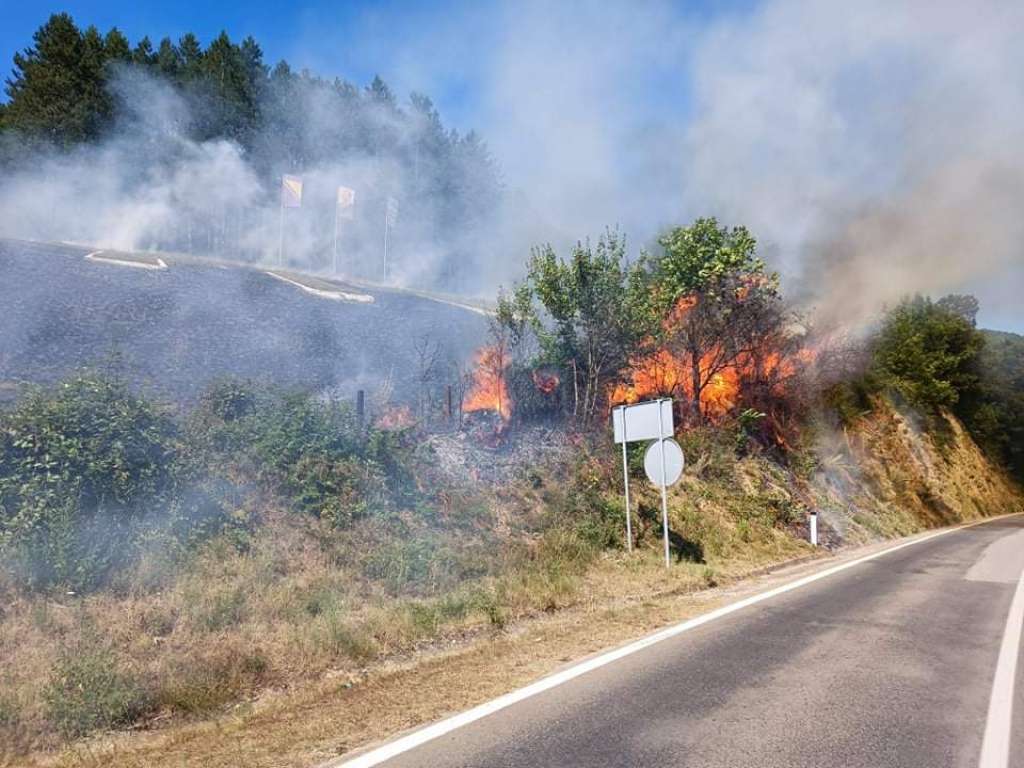 Zatražena međunarodna pomoć zbog požara u Trebinju