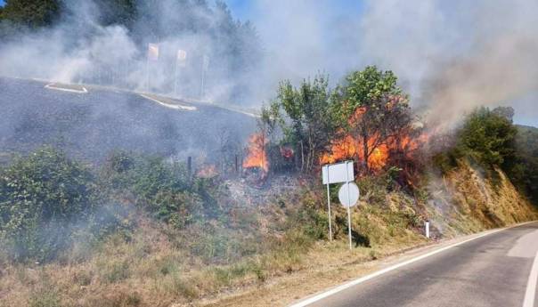 Zatražena međunarodna pomoć zbog požara u Trebinju