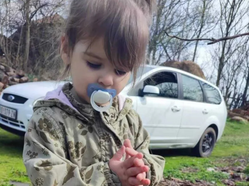 Završena rekonstrukcija nestanka i ubistva Danke Ilić