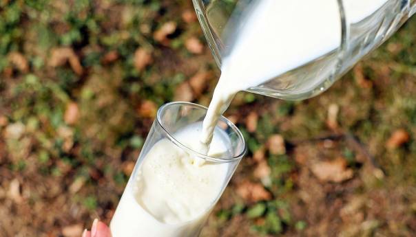 Zbog čega mlijeko treba da vam postane navika