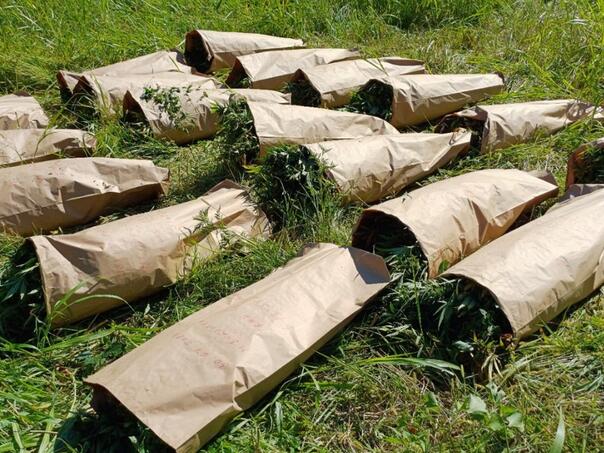 Zbog droge i oružja uhapšene Dobojlije