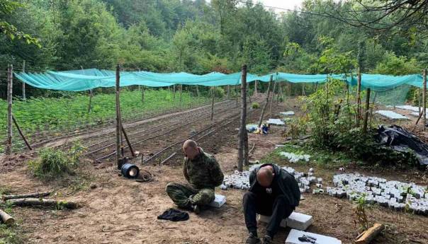 Zbog droge uhapšene četiri osobe u Velikoj Kladuši