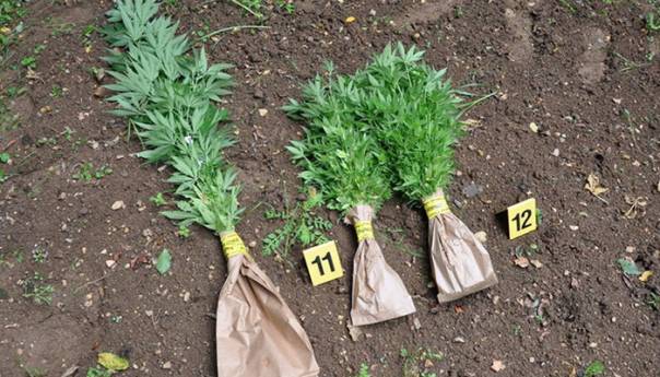 Zbog droge uhapšeni supružnici iz Posušja