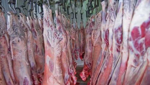 Zbog malverzacije klaonica iz Posušja i Travnika obustavljen izvoz junetine u Tursku