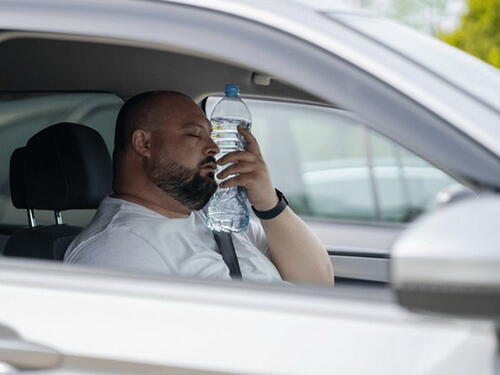 Zbog vrućina se preporučuju putovanja rano ujutro ili navečer