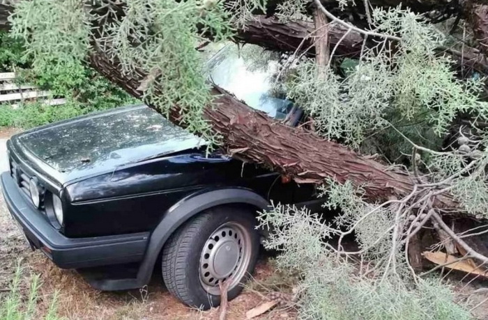 Zbog vjetra u Hercegovini i većem dijelu Bosne na snazi žuti meteoalarm