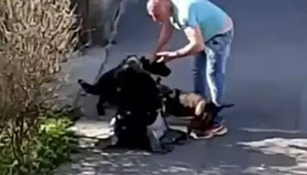 Zemun: Čovjek šutira ženu i njenog psa nasred ulice