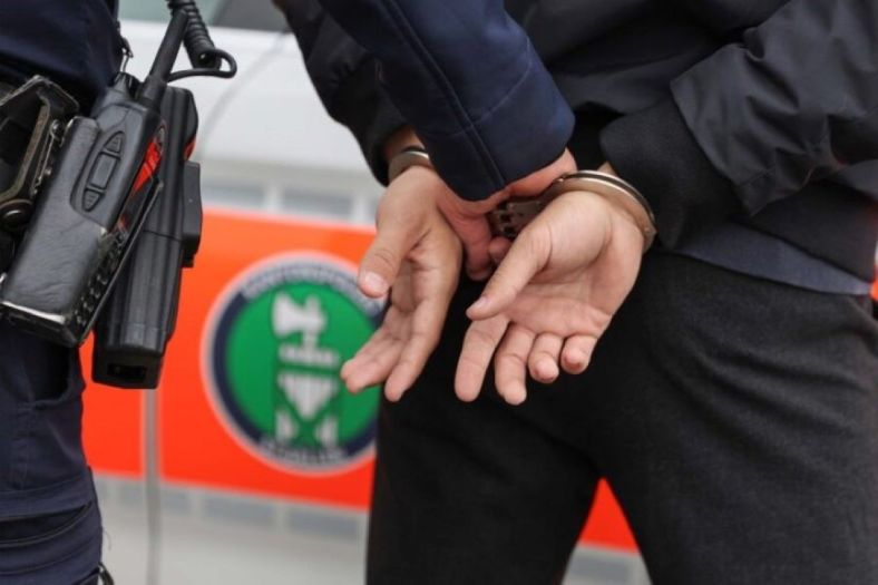 Žena iz BiH sa mužem pretukla švicarskog pedofila (87)