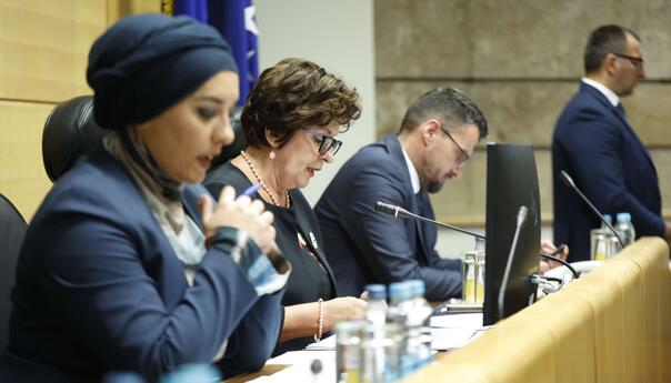 Žestoka rasprava u Parlamentu: Na silu će se odgovoriti silom