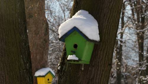 Zimska idila u Velikoj aleji