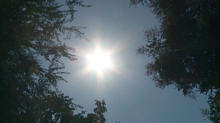 Zimski toplotni rekordi oboreni na cijelom kontinentu