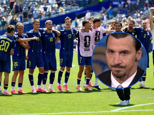 Zlatan emotivan nakon historijske pobjede BiH: Naježim se, to su očevi korijeni