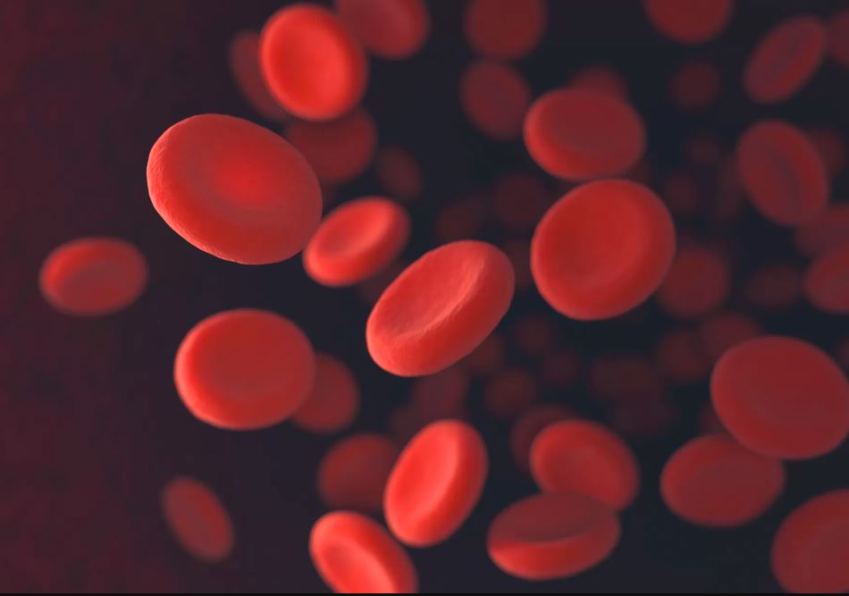 "Zlatna krv": Krvna grupa koju ima manje od 50 ljudi na svijetu