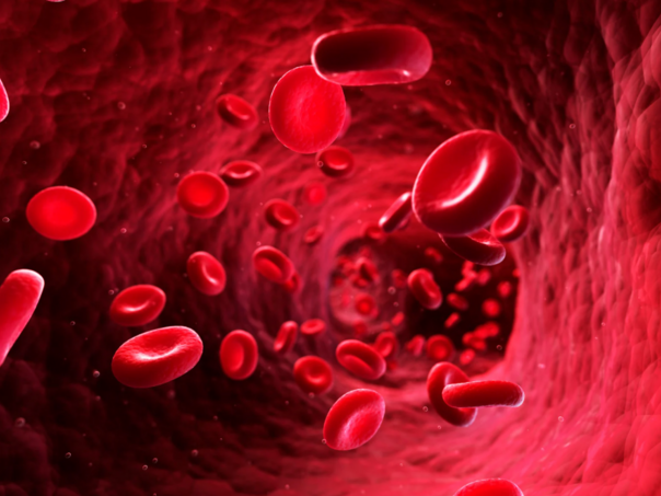 Znate li koja je krvna grupa najdugovječnijih ljudi?