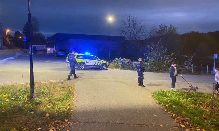 Žrtve napada u Norveškoj ubijene oštrim predmetom, a ne lukom i strijelom